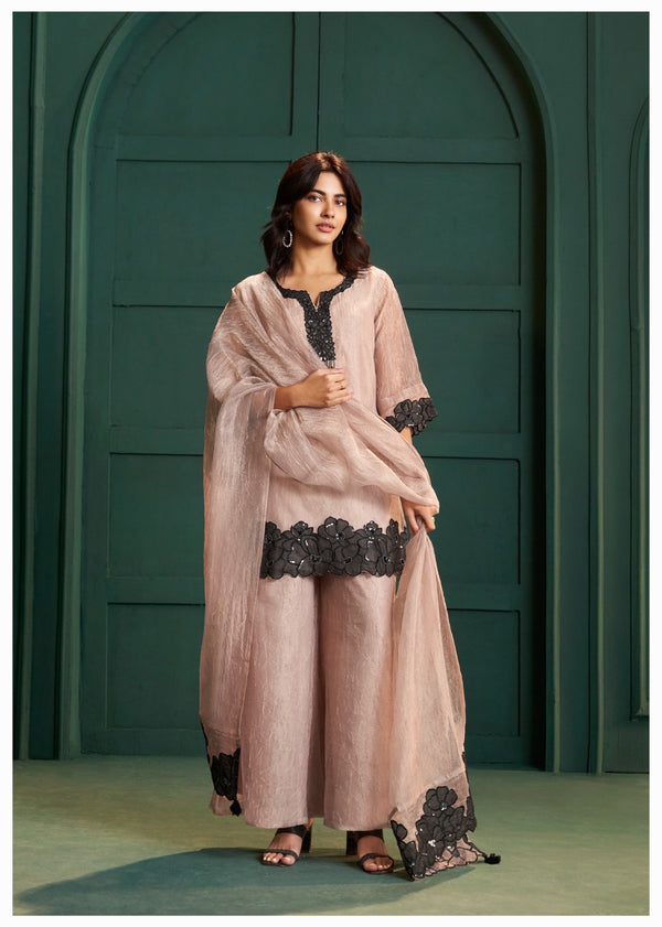 Crush Tissue Plazzo Suits 073026